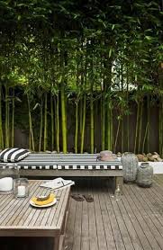 24 Ideas Balcony Privacy Screen Diy Yards For 2019 Balconyprivacyscreen In 2020 Tropical Garden Design Small Backyard Landscaping Small Garden Landscape