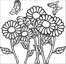 Some very complex and detailed. Flower Coloring Pages For Adults Printable Flower Coloring Pages Flower Coloring Pages Summer Coloring Pages