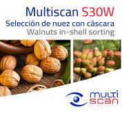 Multiscan Technologies solutions for walnut sorting