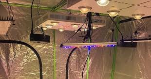 5 Best Cob Led Grow Light Review For Your Space Efficiency Budget