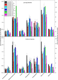 Image result for Haumaniastrum katangense