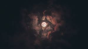 We did not find results for: Supermond 2021 Wann Ist Supermond Im Juni Alle Infos Zum Erdbeermond Sudwest Presse Online