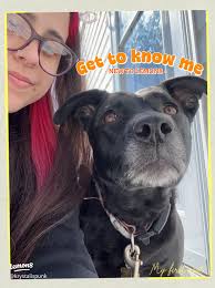 Introducing Myself: A Journey Through Motherhood and Wellness