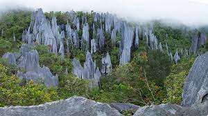 Tak hanya menjadi salah satu tempat wisata. 4 Lokasi Tapak Warisan Dunia Unesco Yang Berada Di Malaysia