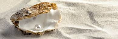 Everything You Need to Know About Pearl | Gemporia