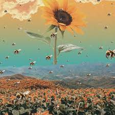 Tyler, the creator's flower boy is the most introspective album of his career so far. Tyler The Creator Flower Boy Type Beat 110bpm Hone