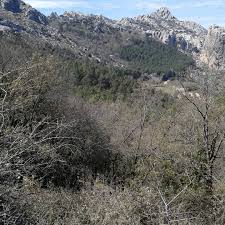 Cuando haya resultados de autocompletar disponibles, usa las flechas hacia arriba y abajo para revisarlos, y la tecla entrar para seleccionar uno. Chamizo Trail Una Espectacular Carrera Que Cuida El Medio Ambiente Inscripciones