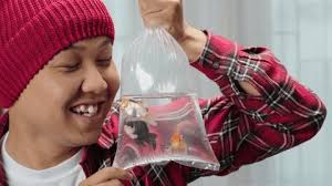 255 Child Playing Plastic Fish Videos