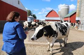 6 Farm Animals Nursery Girl 01c7566a 83e8 4fc7 B9b2 6ff327ebf475 Hinchley Lady In 2020 Farm Animal Nursery Animal Nursery Farm Animals