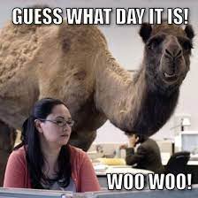 You know what day it is. Hump Daaaayyyyy Funny Happy Funny Pictures Funny Memes