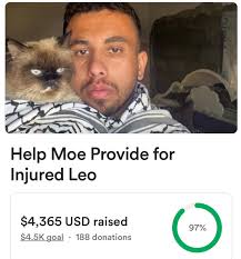 Posts with replies by Hailey Mehlich (@HaileyMehlich)