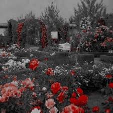 Black And Grey Aesthetic Aesthetic Aesthetic Themes Aesthetic Backgrounds Aesthetic Wallpapers