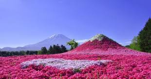 Karena kedua aplikasi ini memang saling terpisah. 590 Kumpulan Gambar Ideas Long Sleeve Tshirt Men Peta Indonesia Oil Pastel Crayons