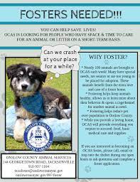Better yet, see us in person! Animal Services Onslow County Nc