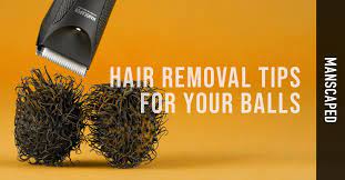 You could do it just for fun. Hair Removal Tips For Your Balls Guide For Men Manscaped Blog