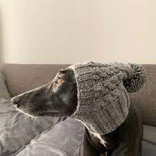 Pom Pom Dog Hat Greyhound Hat Italian Greyhound Hat Greyhound Snood Dog Hat Cable Dog Hat Beanie Dog Hat Dog Accessories Dog Snood Pom Dog Dog Hat