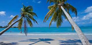 It is said that the name derives from the abundant palma de cana in the area, widely used to cover the roofs of buildings and umbrellas along the beach. Dominican Republic Hotels Lopesan Hotel Group