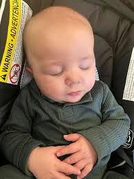 This little guy took his second airplane trip today, and he crushed it.  He's a pro now, and quite the celebrity. He navigated multiple airports,  and slept in his carrier during all