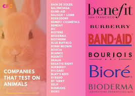 Pin On Cruelty Free Collections