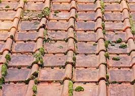 Nettoyage d'une dalle de terrasse avec du bicarbonate de soude ! Demoussage Toiture Etape Par Etape Prix 2021 Allotoiture Com