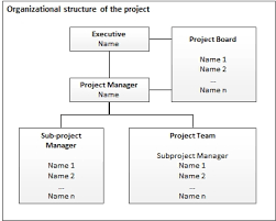 Project Management Checklist Project Organization It