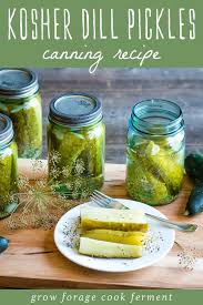 Kosher Dill Pickles Canning Recipe