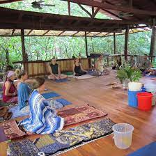 Meditating Prior To Receiving Kambo A Kambo Ceremony In Nosara Costa Rica Health Farm Ayahuasca Medicinal Plants