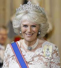 Camilla Duchess Of Cornwall At The Palace Of Westminster For The State Opening Of P Camilla Duchess Of Cornwall Duchess Of Cornwall Prince Charles And Camilla