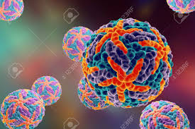 Dengue Virus Which Causes Yellow Fever And Is Transmitted By Stock Photo Picture And Royalty Free Image Image 66214339
