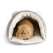 Although guinea pigs aren't really pigs, but rodents, you can still use the pig half of sweet names for guinea pig boys. Guinea Pig Name Idea Guinea Pig Names For Boys Girls Guinea Pig 101