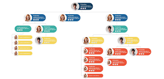 Organisation Chart With Css Mafia Web Design