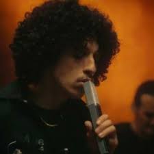 Stream Don Moose music