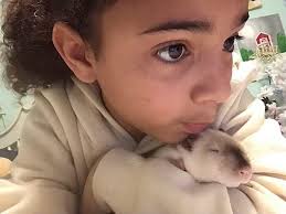 Sophie says, That darn Mr Ball hiding from me again ! 😁🤨🫣😀