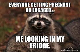 Everyone Getting Pregnant Or Engaged Me Looking In My Fridge Evil Plotting Raccoon Make A Meme