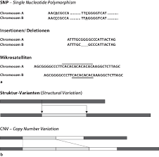 Abkürzung für englisch single nucleotide polymorphismus, variationen snp genotyping — is the measurement of genetic variations of single nucleotide polymorphisms. Genetik Und Menschliche Vielfalt Springerlink