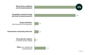 A Framework For The Legalization And Regulation Of Cannabis