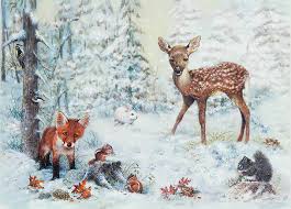 Check spelling or type a new query. Snowy Forest Deluxe Boxed Holiday Cards Christmas Cards Greeting Cards Peter Pauper Press 9781441314987 Amazon Com Books