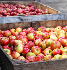 La Route Des Fruits Traversee Gourmande De La Normandie