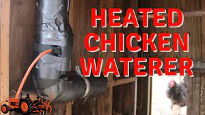 Heated Pvc Chicken Water Update Using An Aquarium Heater Youtube