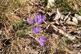 We did not find results for: Prvy Jarny Den Tento Rok Skor Mesto Malacky