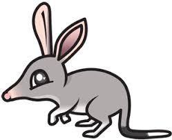 Australian Greater Bilby 6ml Types Of Craft Pluto The Dog Australian