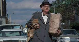 Pin By Edward Naughton On Movies Cat Movie Cat Day Cat People