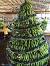 Jamaican Christmas Party