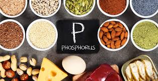It can be found in many foods, but is especially high in animal proteins, dairy products, nuts and. Top Foods High In Phosphorus Benefits Recipes Supplements Dr Axe