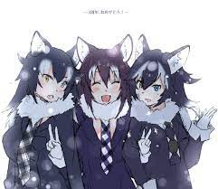 Kemono Friends Grey Wolf Anime Wolf Girl Cute Neko Girl Anime Neko