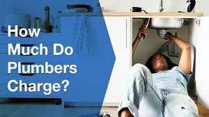Let this serve as your comprehensive guide to trenchless sewer repair cost. Cost Of Hiring A Plumber Plumber Salary Australia Serviceseeking
