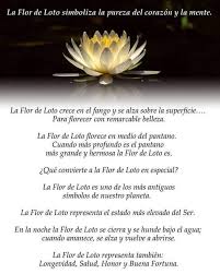 Pin De Ran Vh En Simbolos Flor De Loto Tatuaje De Loto Flor De Loto Significado