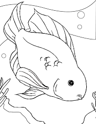 In the kitchen, for example, fish are distinguished according to their origin (freshwater and saltwater fish) or fish shape (round and flatfish). Free Printable Fish Coloring Pages For Kids