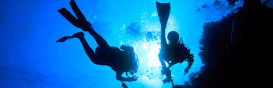 Diving Center St Lucia Scuba Diving Snorkeling Rendezvous