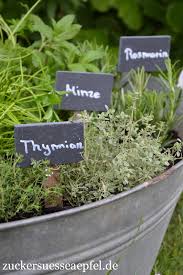 Miniteich für garten und balkon anlegen. Ein Krautergarten In Der Zinkwanne Fur Kleine Und Grosse Gartner Diy Zuckersusse Apfel Kreativer Familienblog Und Reiseblog